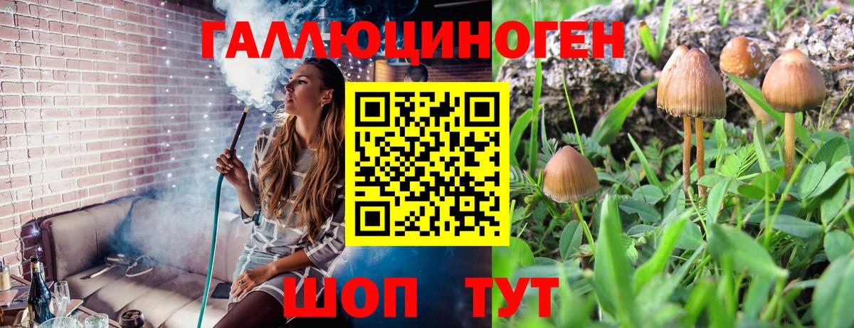 Галлюциногенные грибы мухоморы  Галлюциногенные грибы Magic Shrooms  Вход с VPN  Коряжма 